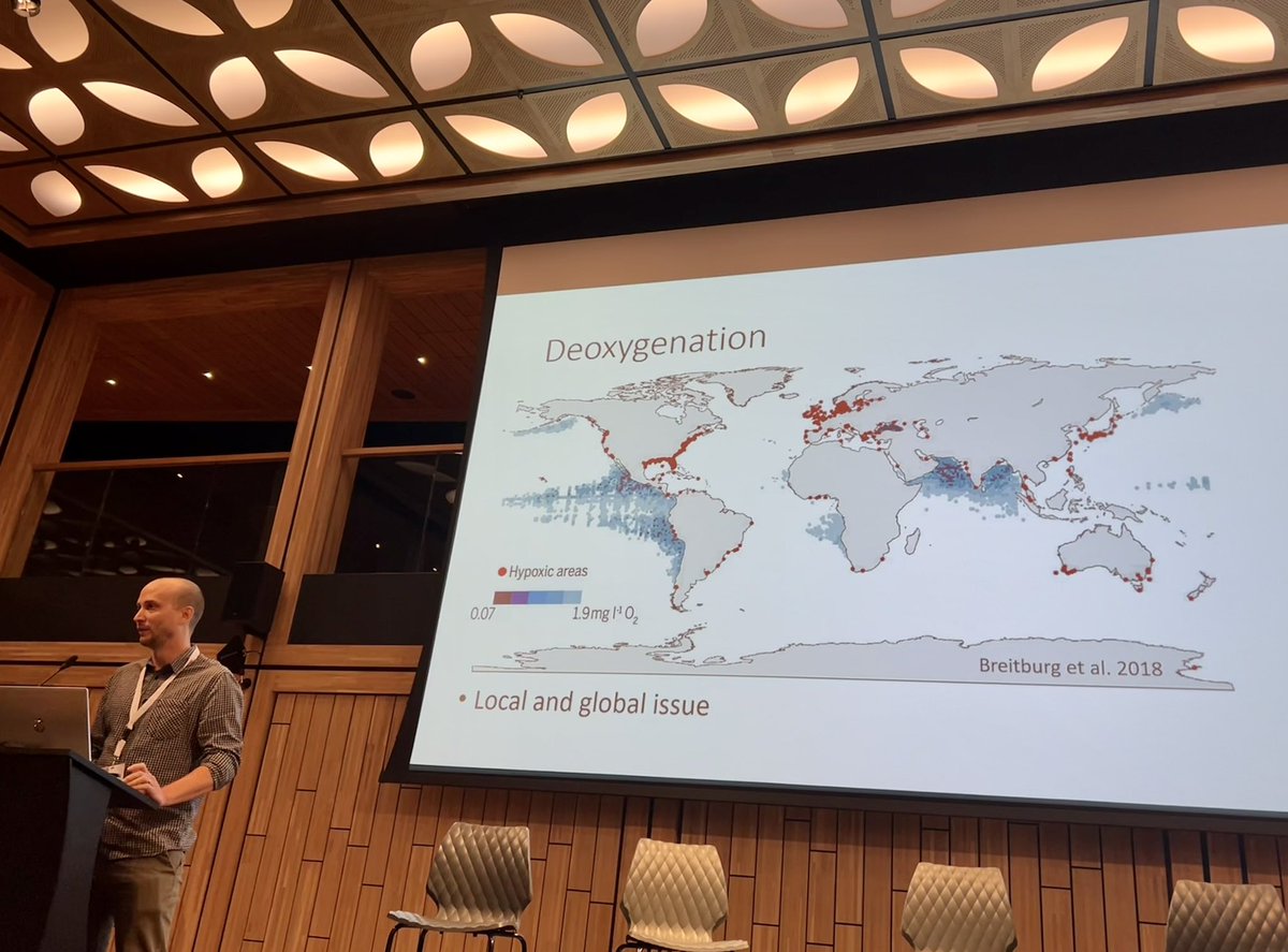 Sponge_2022 tweet media