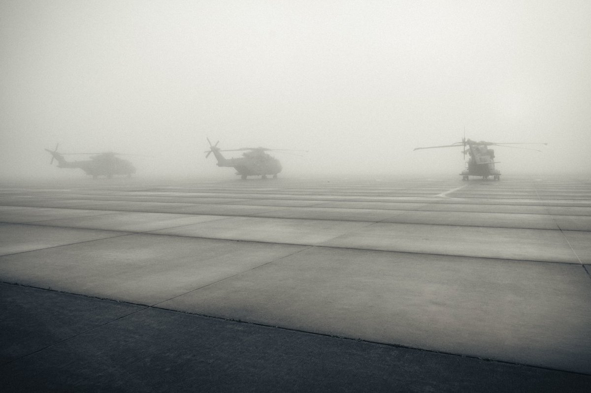 Merlins in the mist… Who’s gonna call the clearing hour ?? ⏱ #foggy #mist #aviationlovers