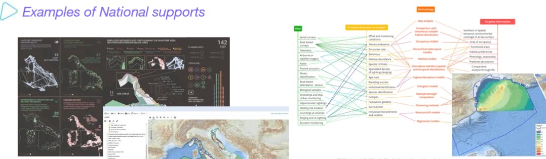 Honoured to address <a href="/MSPMED1/">MSP-MED</a> project's final event on behalf of <a href="/VSinkevicius/">Virginijus Sinkevičius</a>. Congrats for the work achieved despite "pandemic setbacks"; best wishes for future development of 🌊🗺️#maritimespatialplanning in the #Mediterranean. Check out the results 👉 mspmed.eu/results/