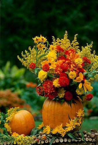 Good morning got bless you