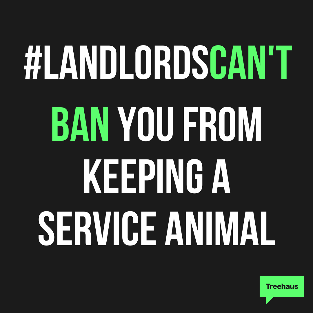 Treehausreviews's tweet photo. A new academic year is here and some of you #Students are now living in rented properties for the first time, so these are things your landlord is NOT allowed to do. You've got to #knowyourrights.

#studentaccommodation #unilife #studenthouse #studentliving #tenantsrights https://t.co/WDdgZlforQ