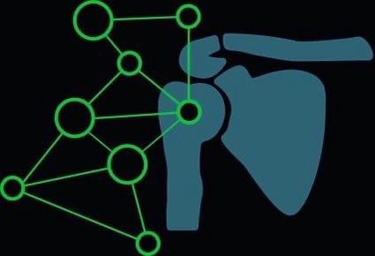 Paulides + Partners maakt onderdeel uit van Schoudernetwerk Nederland (SNN). Dit is een vereniging van fysiotherapeuten die zich specialiseert in schouderklachten. Op de website van dit netwerk vindt u uitleg over de meest voorkomende schouderklachten en behandeling.