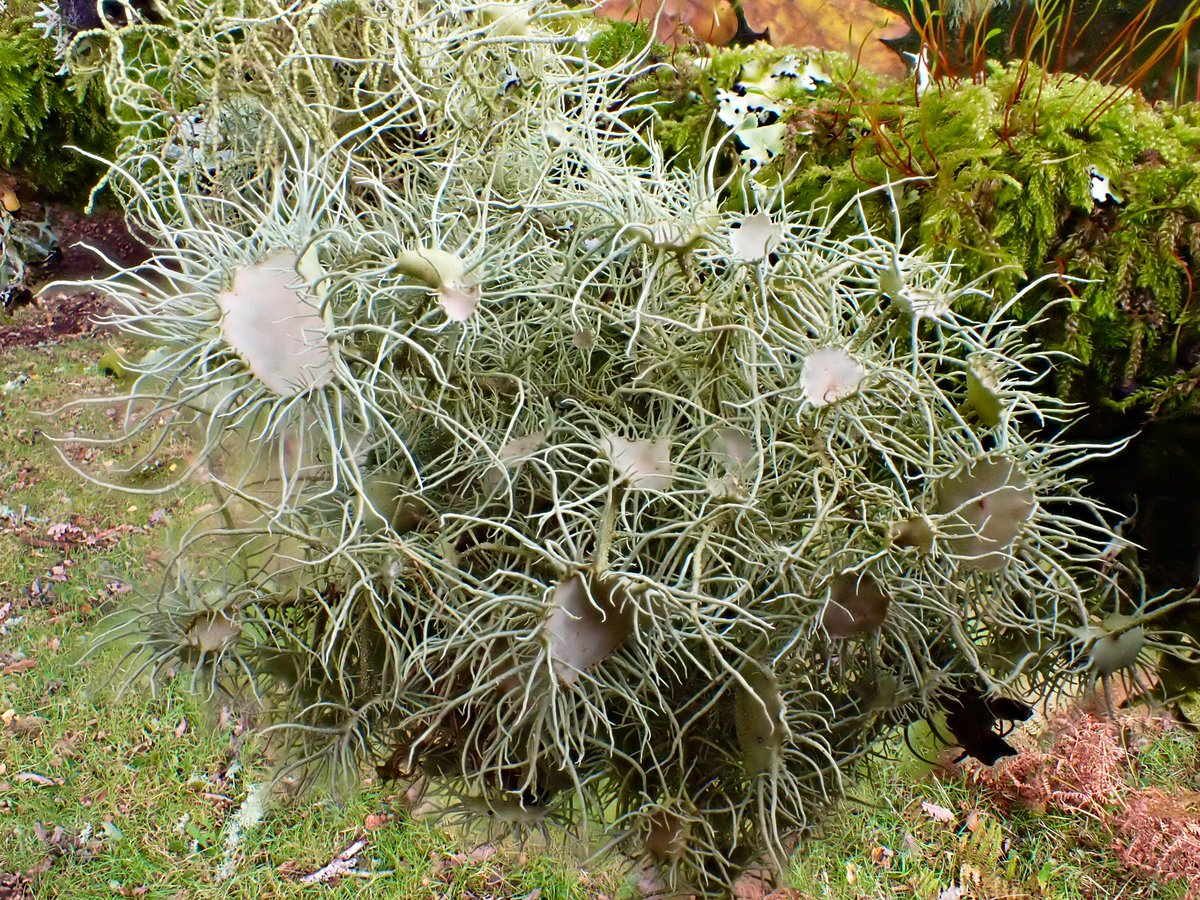 April Windle tweet media