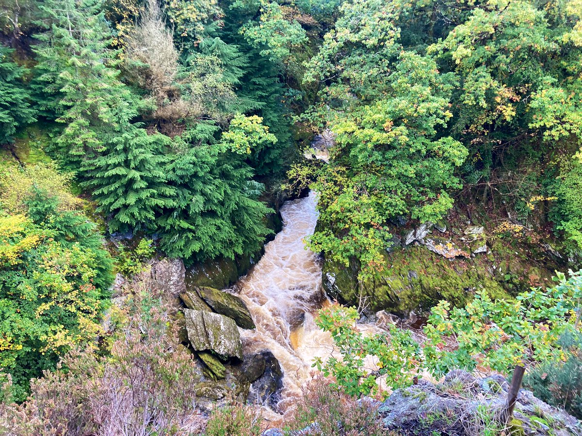 April Windle tweet media