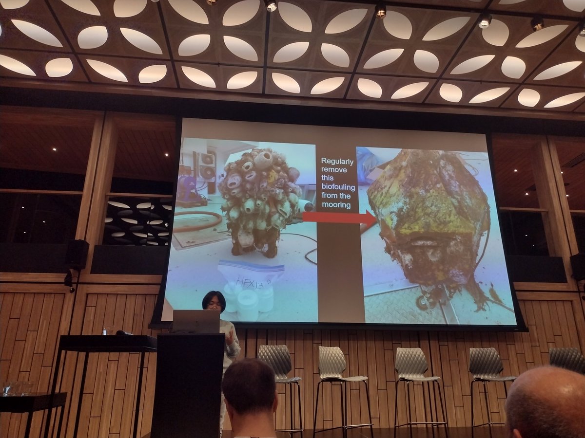 erika_neave's tweet photo. I'm biased of course, but @wangCAI74726882 did an amazing job explaining how she's coupling sponge #nsDNA and acoustic data to monitor pelagic fish communities in Nova Scotia! Promising solutions for long-term monitoring using sponge fouling that must be removed π§½ππ¦ https://t.co/WfsDLt7lak
