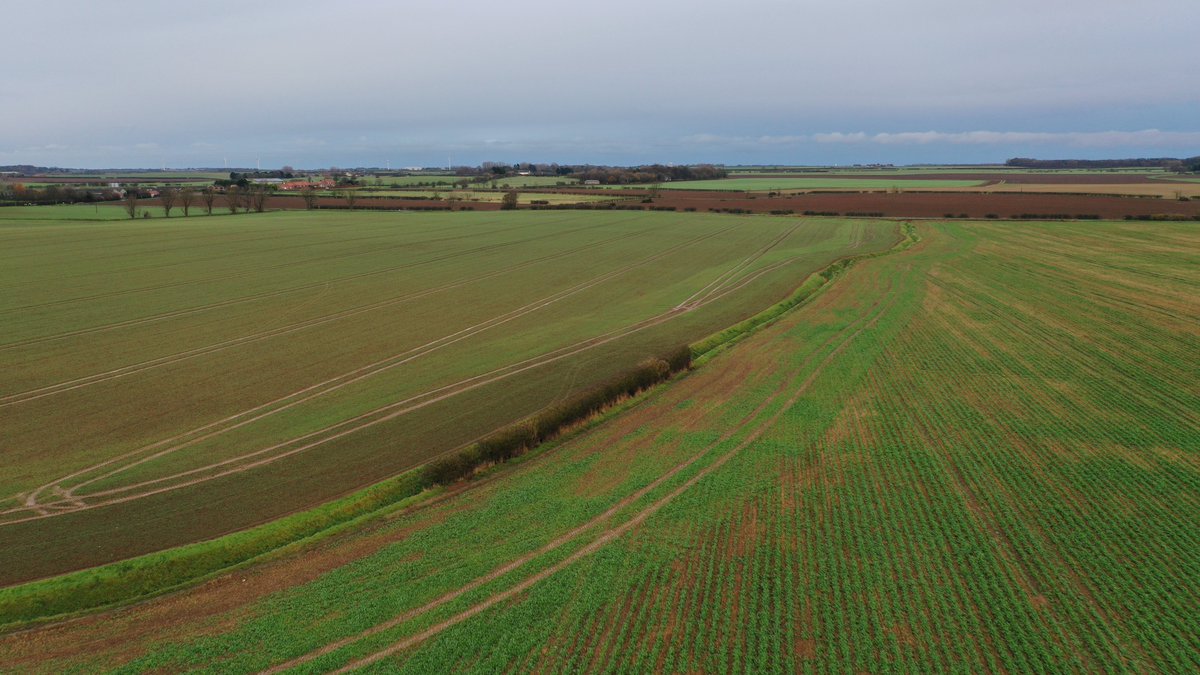 Energy and Environment Institute tweet media