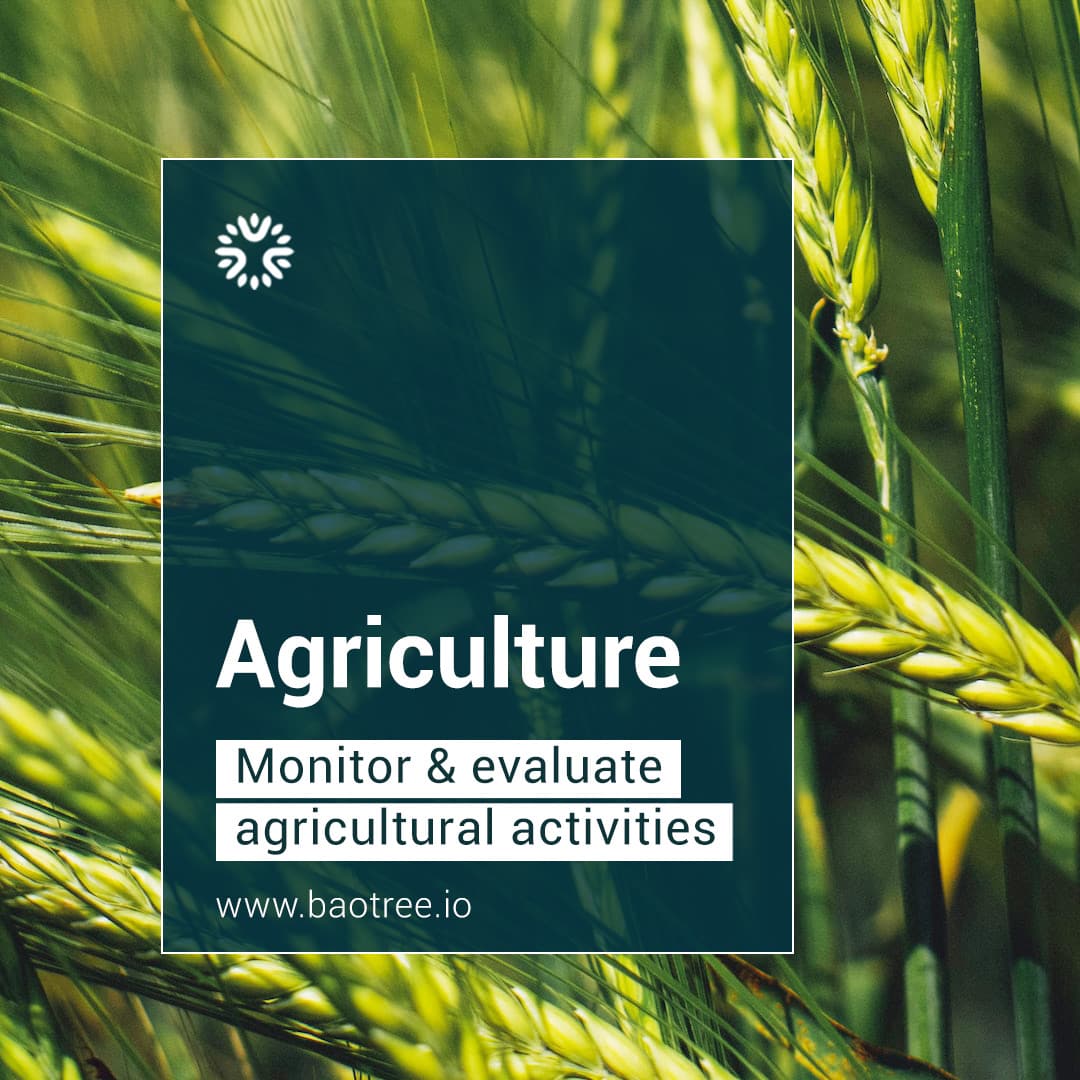 bao_tree's tweet photo. Transparently track your value chain to increase smallholder farmers’ production quality, increase income, and prove sustainability to the buying market.
➡️ Learn more 🔗 https://t.co/HWZXmMzxQH
#datacollectiontool #datacollectionsystem #esgreporting #esgdata https://t.co/CbpLF9pST1
