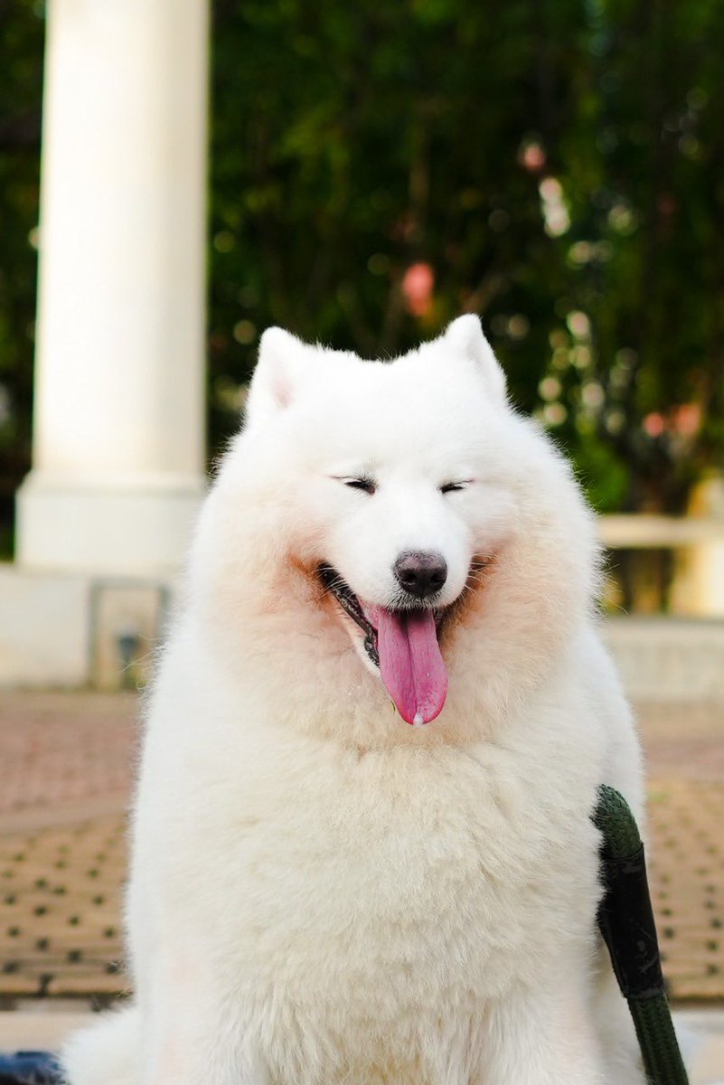 Life has been kinda tough lately. Rest Well Winter. 19 Maret 2019 - 12 Oktober 2022