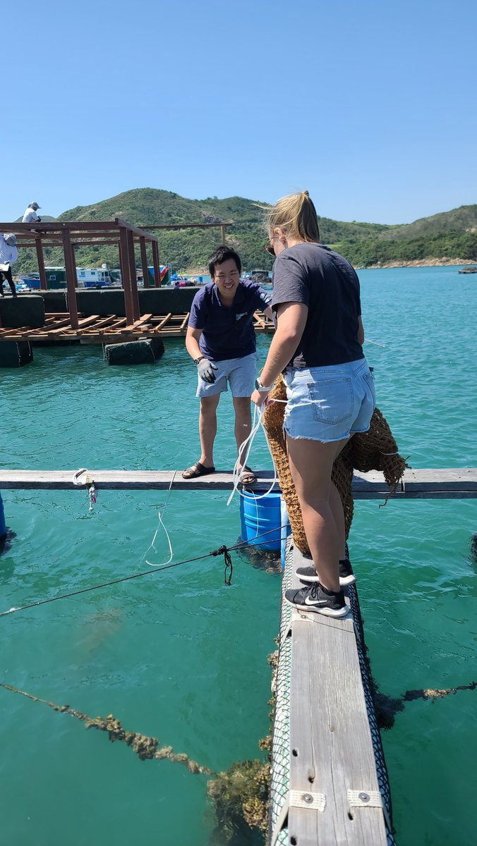 ecoshoreline's tweet photo. Great day out at @Marine_SKLMP Fish Raft in Sai Kung, checking on the progress of some projects &amp; deploying others #biodiversity #restoration #ecoengineering https://t.co/c2phFgDtGA