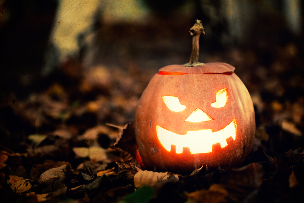 StoreUitee's tweet photo. My current favorite thing to do is respond with “You mean costumes?” when I’m asked what my Halloween costume for this year will be.
https://t.co/1Ywr6etluf
#Halloween #holidays #Halloween2022 #uitee https://t.co/BNC3bXN3Ck