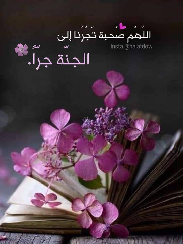رؤى مصطفى (@ajdj_hdhd) on Twitter photo 