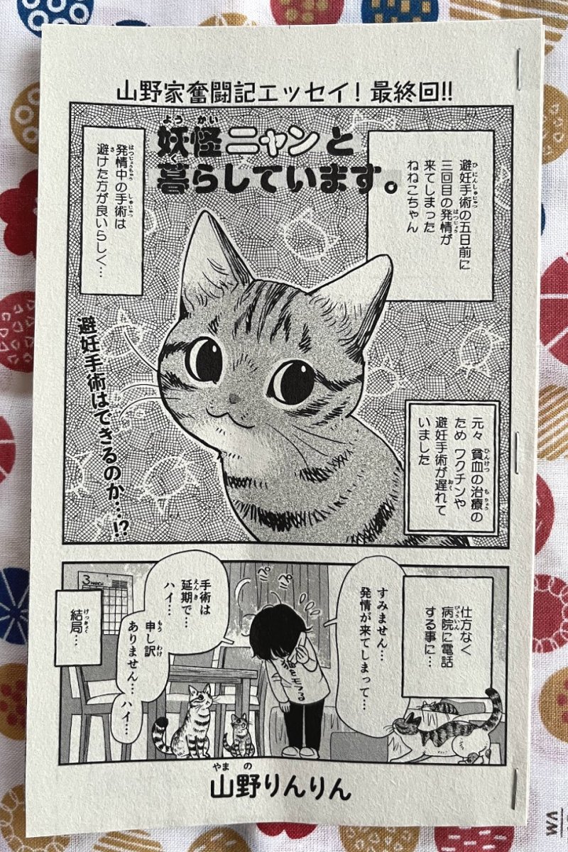 【宣伝】少年画報社さん「ねこぱんち」発売中です🐈
「妖怪ニャンと暮らしています。」第三話8p掲載。ウチのねねこちゃんエッセイ今回で最終回です。
どうもありがとうございます~🙏✨❗
またねこぱんちに掲載してもらえるよう頑張りますね❗