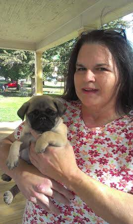 LiamWonderPug's tweet photo. Mom thought tmrw was Jack'son's Gotcha Day. FB proved her wrong, it's today. He looked like #puppymonkeybaby when he was little. He's no Alpha Male but he's my brother.
#gotchaday #Wednesday #NotTomorrow #Pugsoftwitter #dogs https://t.co/HnXseR1ENM