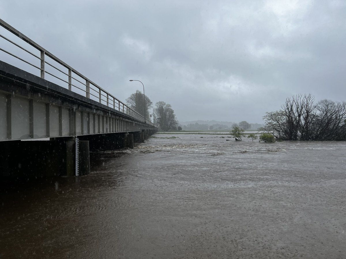 Monte Bovill on Twitter "Situation is certainly escalating here in