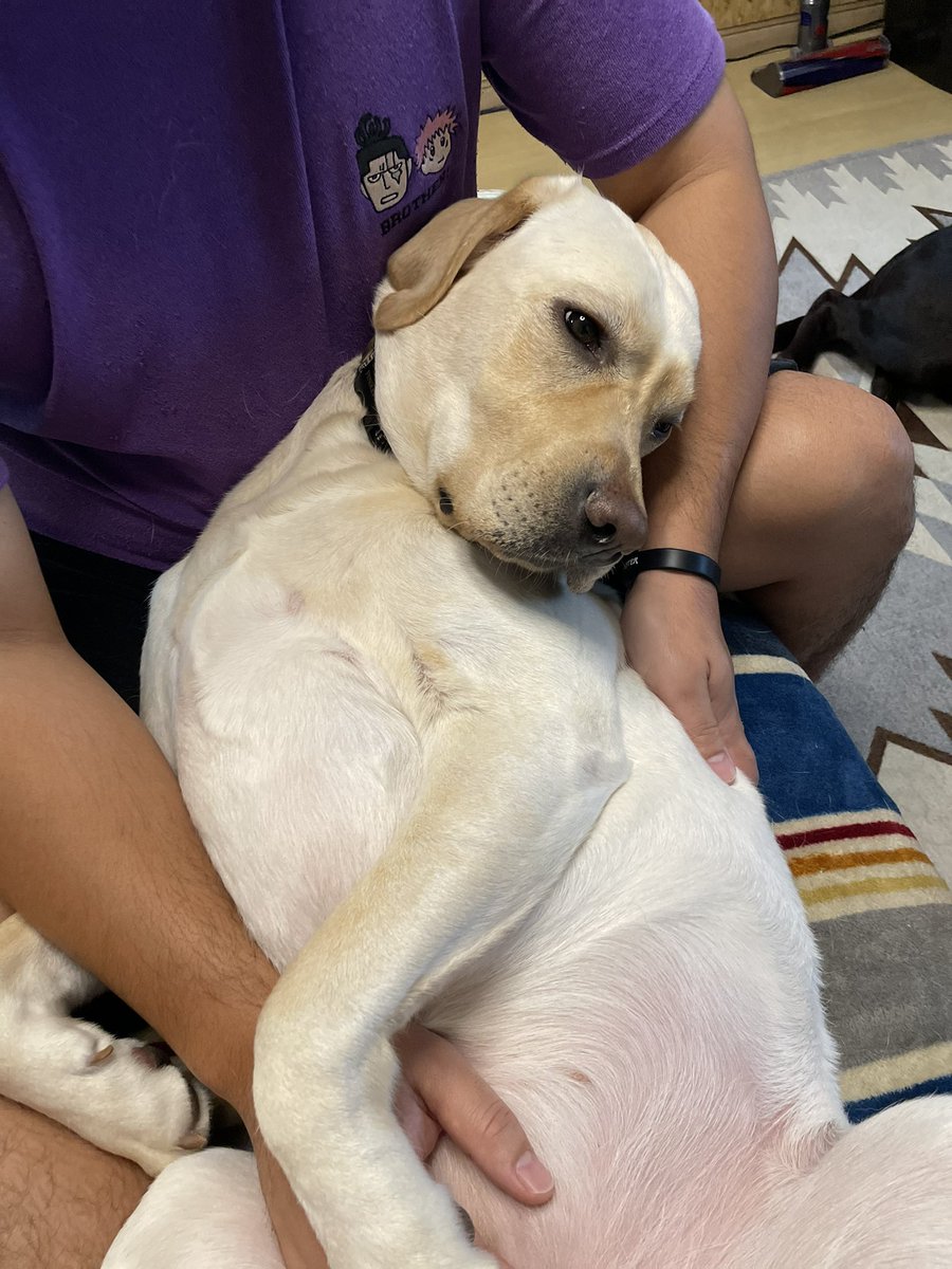 イズ&ワズ@ラブラドール (@mizukin24530713) / Posts / X