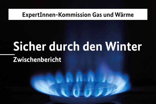 BrigitteKnopf's tweet photo. Alle, die bei der #Gaspreisebremse nach einer pro-Kopf Lösung rufen (wie ich sie mir auch gewünscht hätte) müssen auch sagen, wie das gehen soll. Die Versorger kennen nur Anschlüsse - noch nicht mal Haushalte, geschweige denn die Personen dahinter.
#Gaskommission
Abhilfe: 1/n 🧵 https://t.co/q3jbsMeIGN