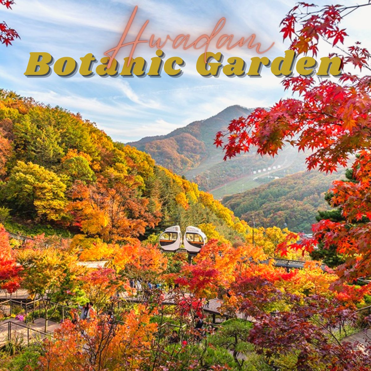 houseofmiraiph's tweet photo. ๐ญ๐๐๐ ๐๐๐๐๐๐, ๐๐๐๐๐๐ ๐๐๐๐๐๐๐๐
A must-visit garden in the fall!๐๐
๐ Hwadam Botanic Garden: 278-1, Docheokwit-ro, Gwangju-si, Gyeonggi-do, South Korea
๐ ํ๋ด์ฒ: ๊ฒฝ๊ธฐ ๊ด์ฃผ์ ๋์ฒ๋ฉด ๋์ฒ์๋ก 278-1
@ktomanila
#GandaKorea #GKSupporters #autumn #wheinkorea https://t.co/2kLn9AsJYc