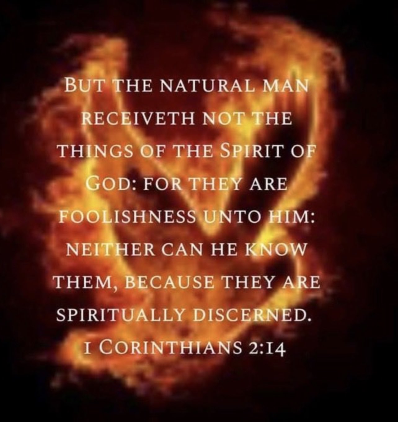 I corinthians top 14 kjv