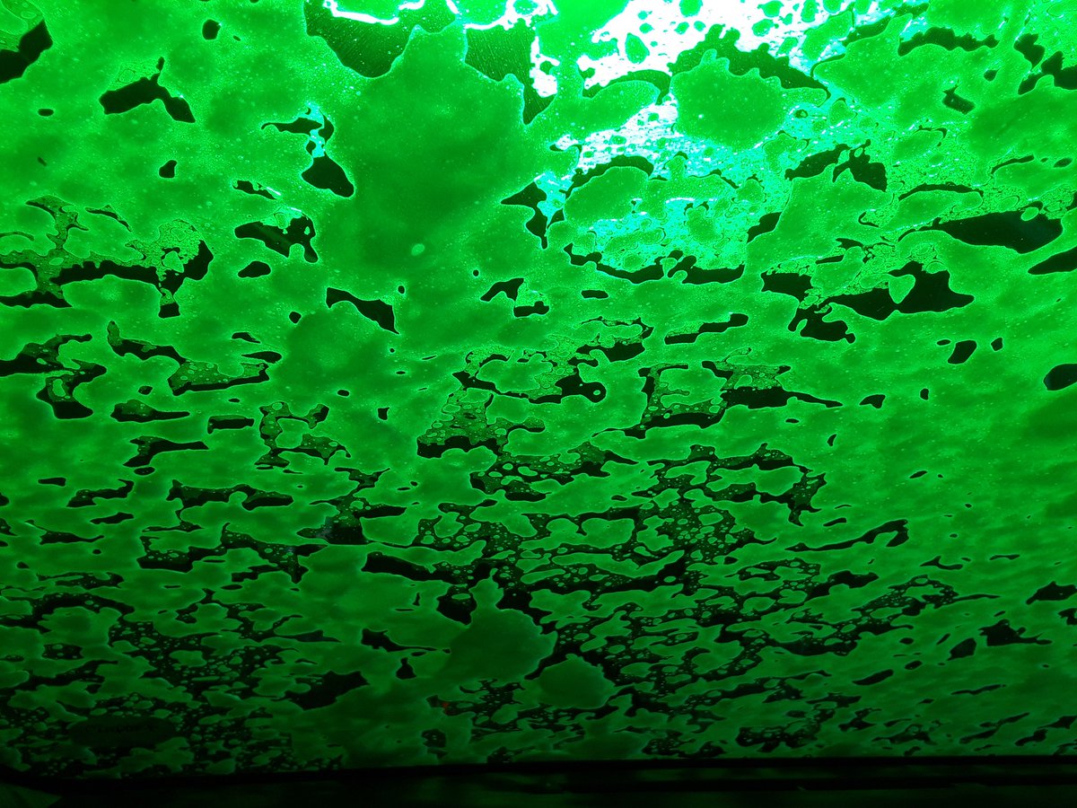 davidhcrocker's tweet photo. This #photo looks like I might have been #snokeling beneath #kelp beds. But this is the view from my local #drivethru #carwash. Always love the #soap combined with #green #lights. #colorphotography https://t.co/FQAuwDPHSO