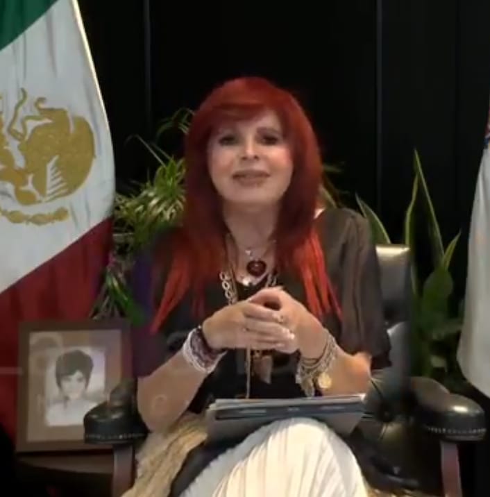 Diputados Federales y Senadores de Morena tweet media