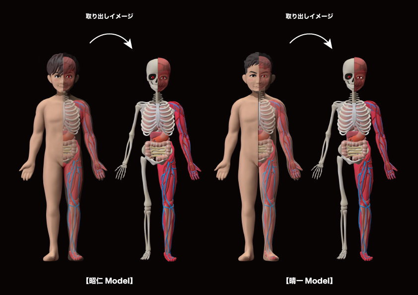 ポルノグラフィティ 人体模型