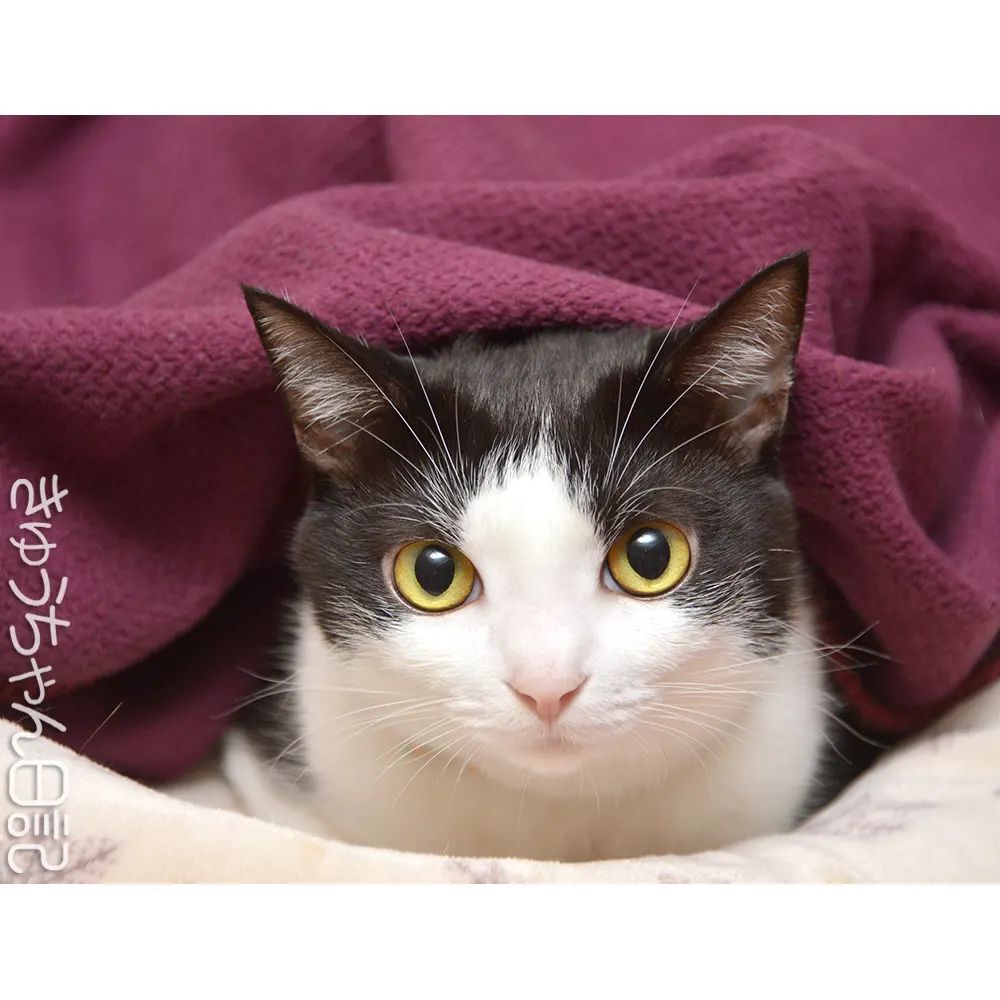 6varkdnwxmqm8m 6varkdnwxmqm8m