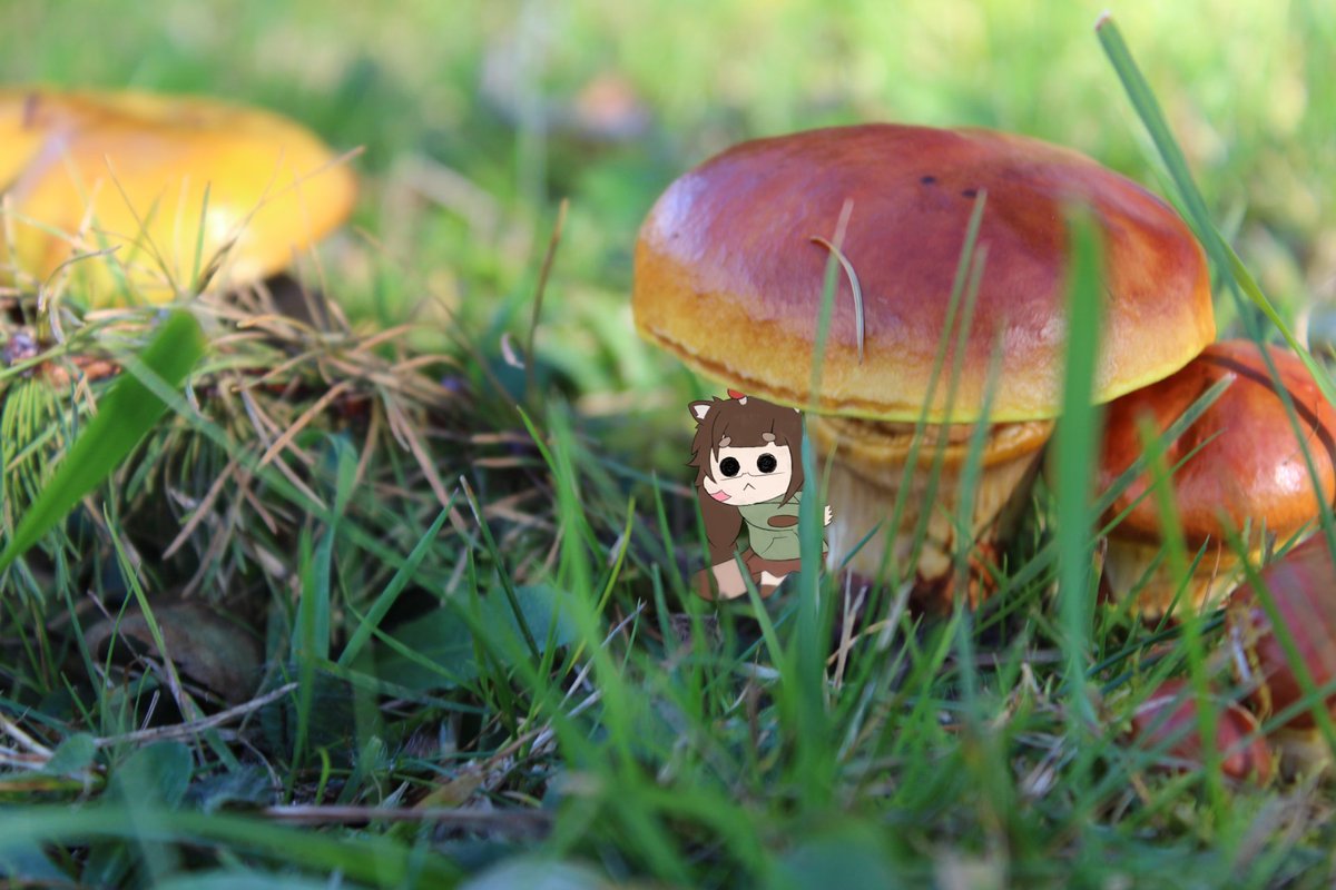 8BitKO's tweet photo. je l'ai vue lors d'une randonnée / saw her while hiking 🍄

#kikitchillust https://t.co/BwbKxqCkXJ