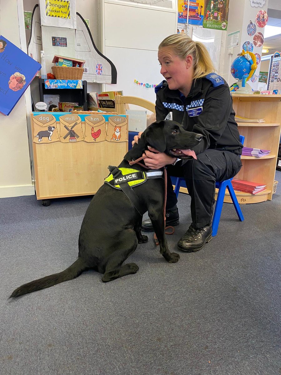 Cassop Primary (@cassop_primary) on Twitter photo Nursery and Reception had a visit from the Police dogs Jet and Ben. The children enjoyed learning all about the jobs they do. <a href="/JetandBen/">Jet and Ben</a> Nursery and Reception had a visit from the Police dogs Jet and Ben. The children enjoyed learning all about the jobs they do. <a href="/JetandBen/">Jet and Ben</a>