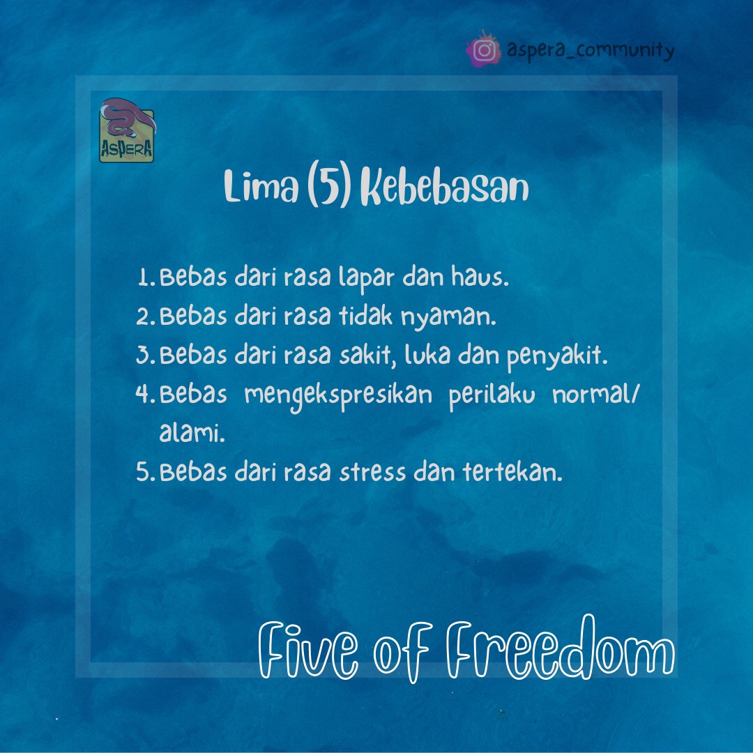Sebelum kita memiliki hewan peliharaan, kita cek dulu yuk poin2 animale welfare atau yg biasa d sebut five of freedom berikut ini.

#WeCareAboutReptile⁣
#AsperaCommunity
#ReptileEducation⁣
#Herpetofauna
#Herpetologi
#Kehati
#Ekosistem
#Konservasi
#FiveOfFreedom
#LimaKebebasan