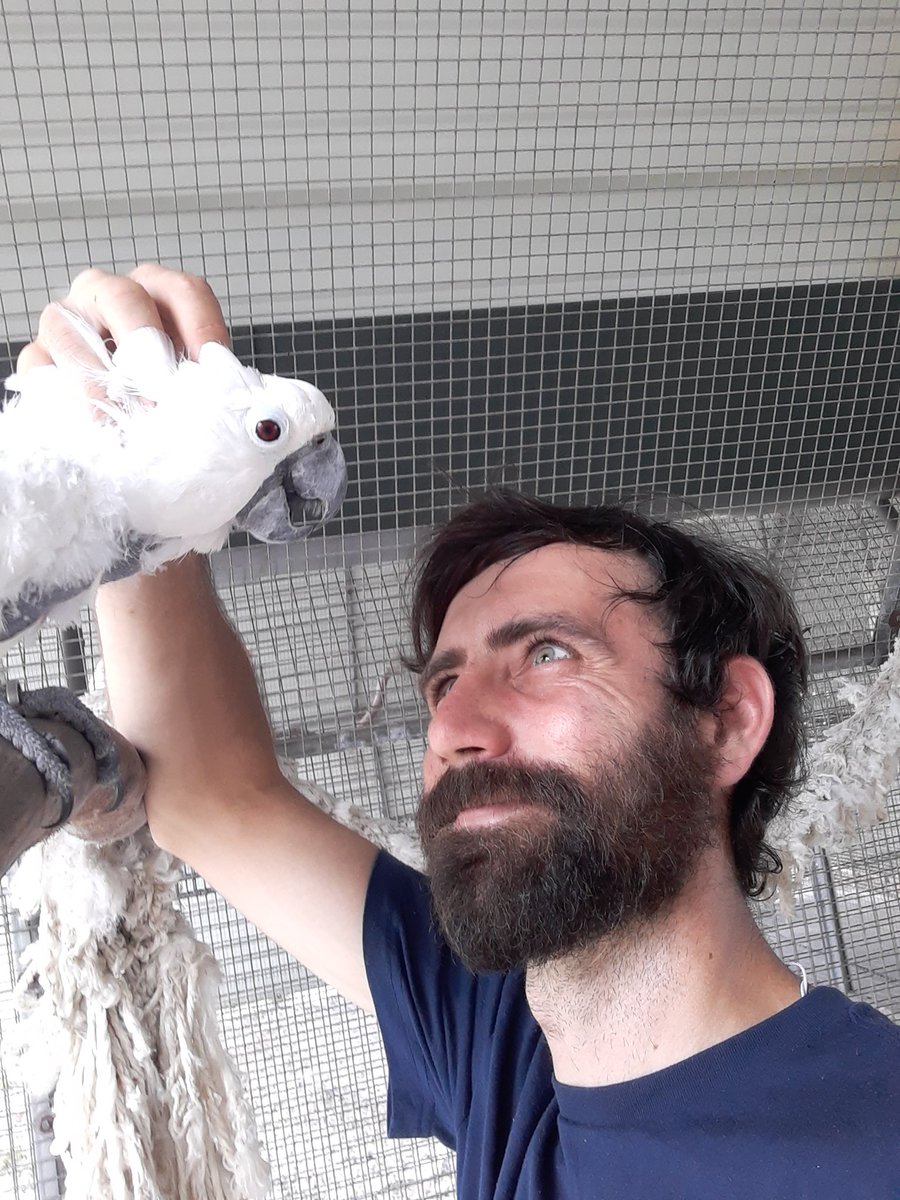 HabitualDodo's tweet photo. Bird PSA: If you're going to have a bird share your home with you, it's important to have a plan in case of an escape, since they're literal fight hazard. A thread 🧵

Here's some cute bird photos so people see this: https://t.co/MWYlCA86wo