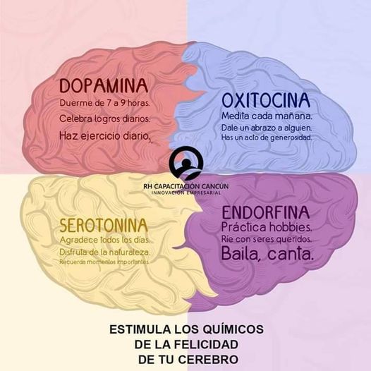 La felicidad de tu cerebro...