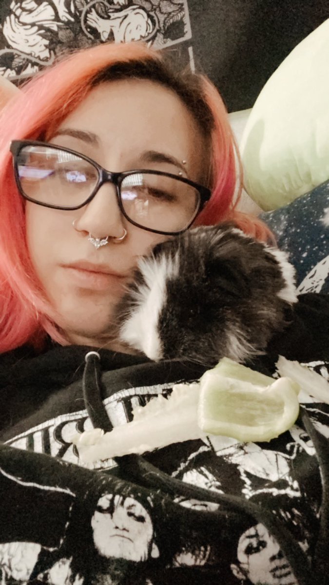 condxlences_'s tweet photo. i never posted about this but i adopted this baby in april due to his constant health issues. after 5 months of fighting so hard against his sickness he sadly passed away yesterday. i am utterly devastated. i love you and miss you baby Zeus 💔🌈 https://t.co/0mVPT1rVUF