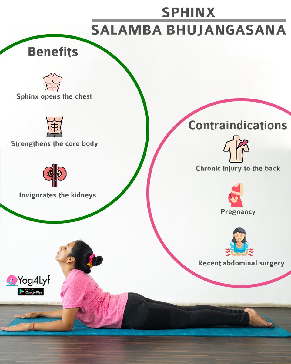 yog4lyf's tweet photo. Sphinx Pose for Back Pain Relief
#sphinxpose #backpain #yoga #yog4lyf #salambbhujangasana https://t.co/LxfhJP9xjE