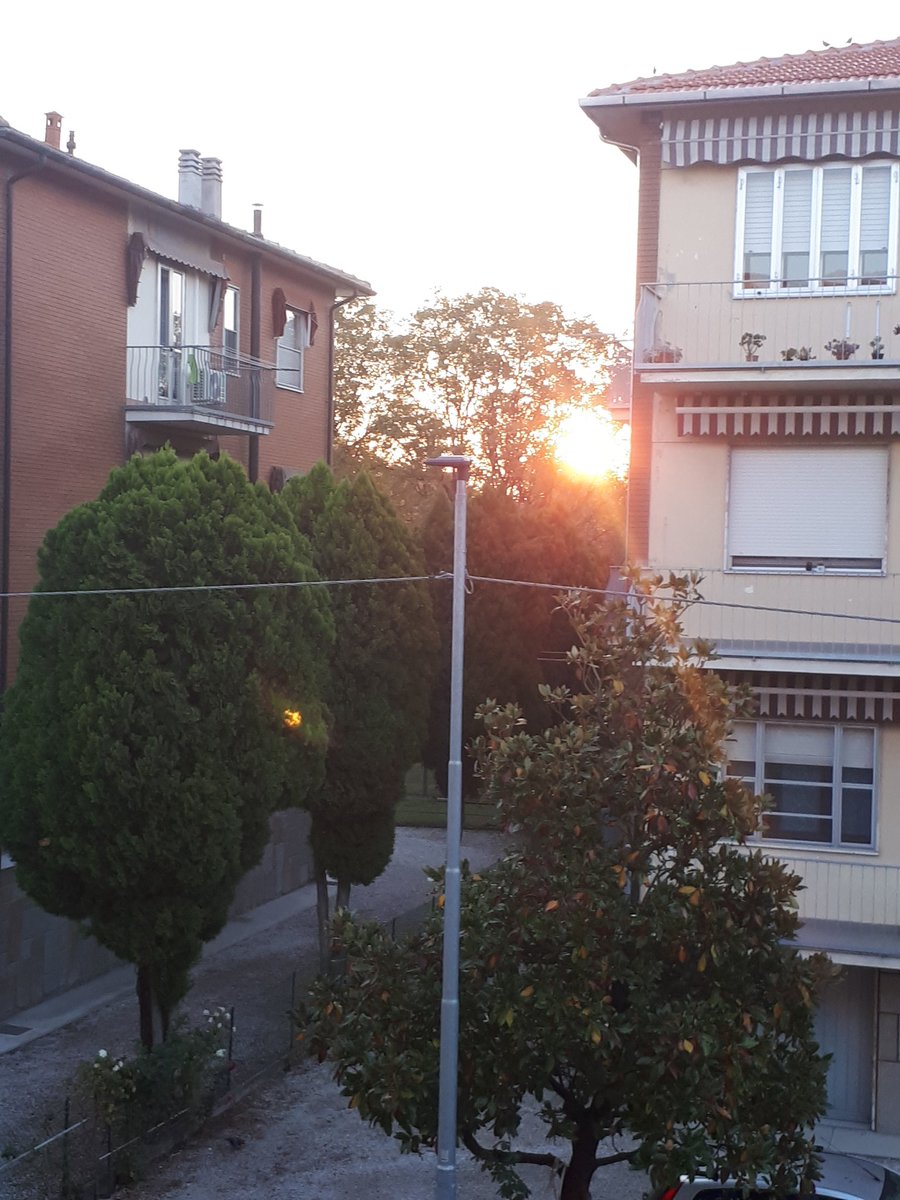 DelviGuiducci tweet picture