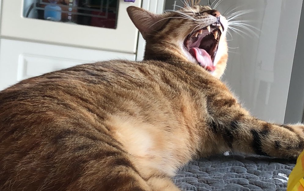 想念我的家人，无论如何，总要回家。