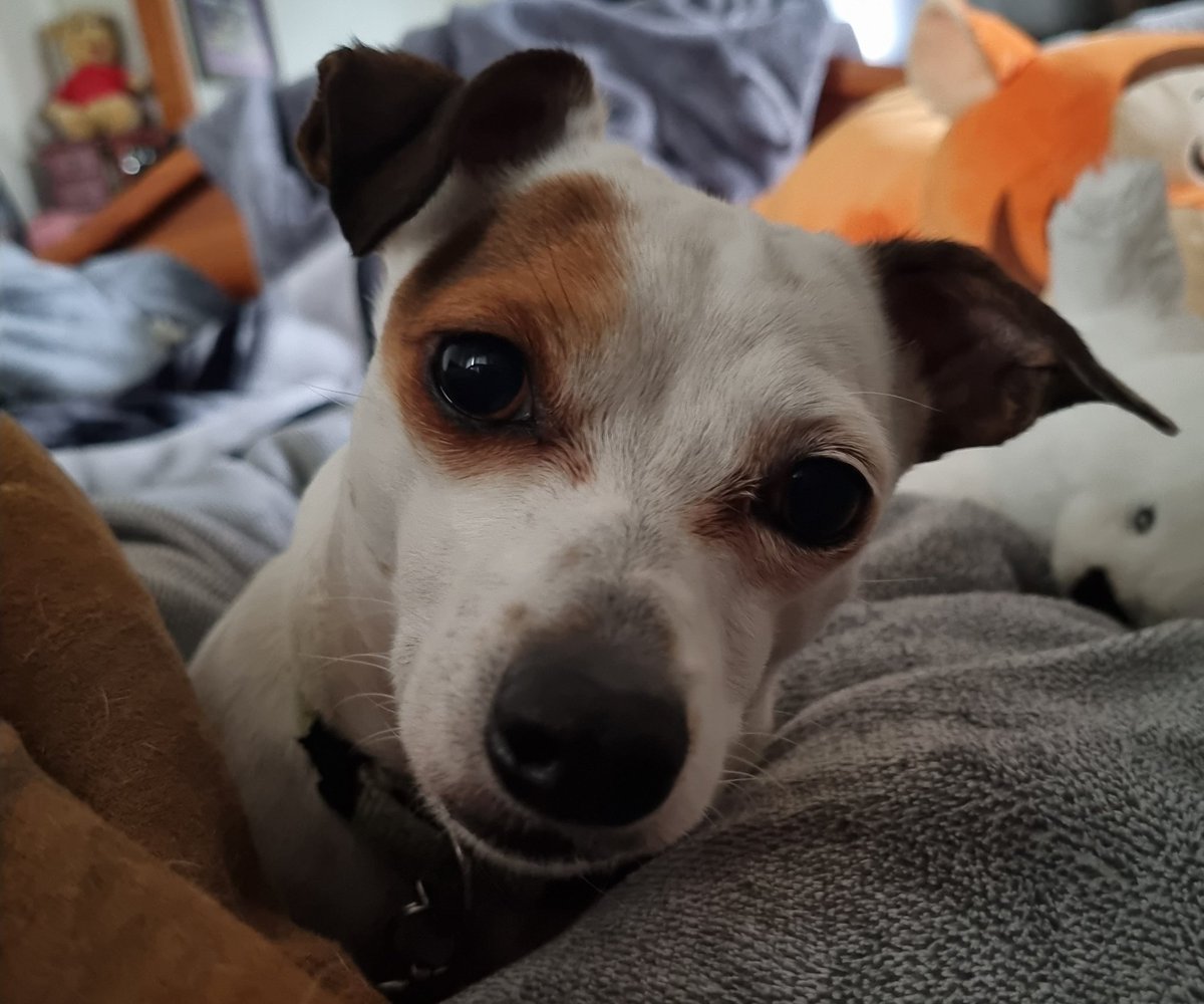 rin49's tweet image. I think she missed me 🥰