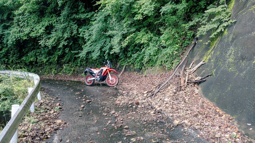 MASA_BHB's tweet photo. 真っ赤なオフ車は緑が映える。

#バイクの真横を載せて5RT来たら強者

 #CRF250RALLY
 #バイク乗りと繋がりたい 
 #バイク好きな人と繋がりたい 
 #ファッションオフローダー https://t.co/Y5VZIJ4DU0