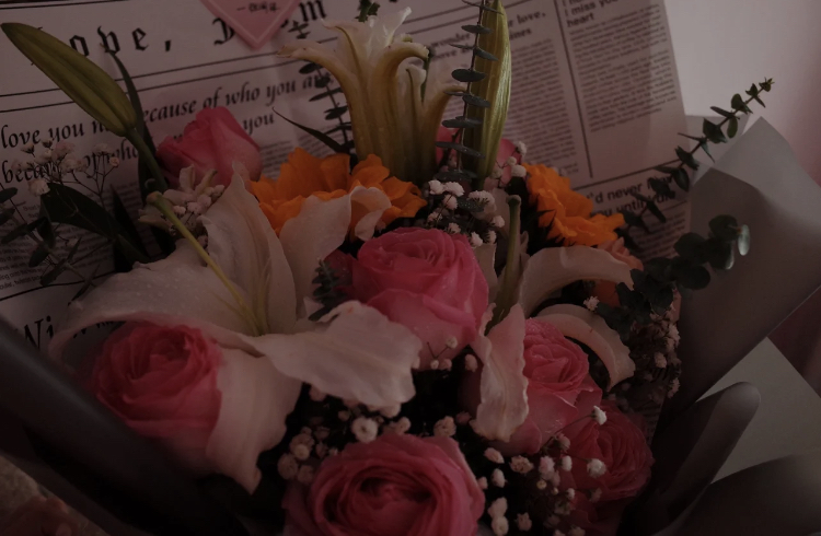 日常分享😊😊小黑