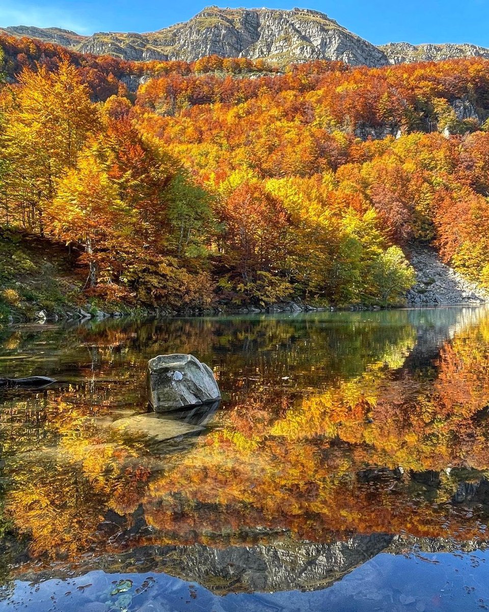 ModenaDintorni's tweet photo. Riflessi d'autunno al #LagoSantomodenese 🍁😍

Ph: sara.vias https://t.co/OQQ9S798QX