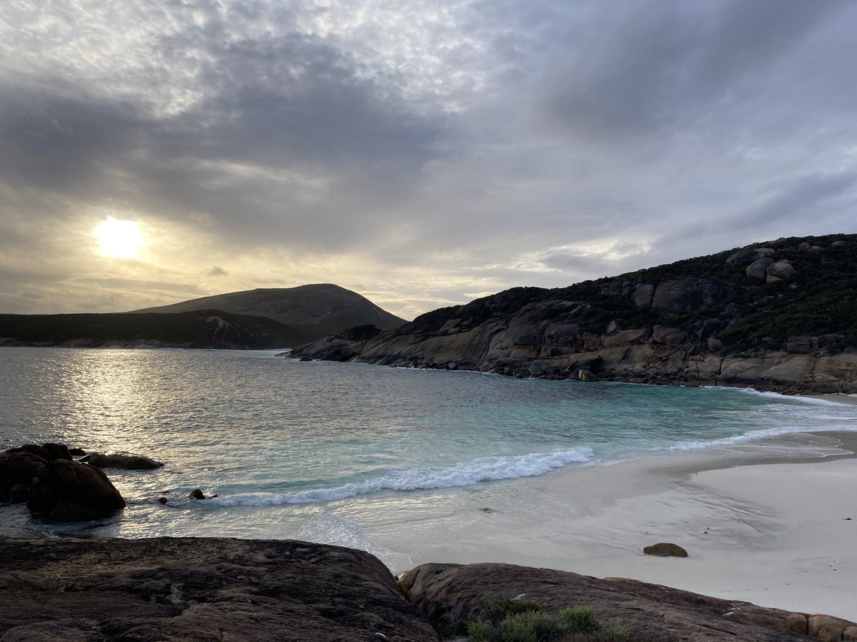 HannahDrieberg's tweet photo. What a whirlwind five weeks! Explored a large part of (South) Western Australia with Adam, presented my first poster at @ComBio2022 which was supported by an @asps_ozplants travel grant and finished with a fruit DNA extraction workshop at the  @WOSQld Mt Isa regional conference! https://t.co/WBkkYhyf0U