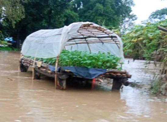 ColinMcQuistan's tweet photo. @Dankrity @DharamUprety @Nepal_PA @floodalliance @zfoundation @PracticalAction @achyutluitel @upensth @SSuvekshya @NDRRMA_Nepal Great to see positive examples of resilience building on #IDRRDay the combination of:
The assets needed for resilience, plus;
The processes such as Early Warning Systems to create the enabling conditions, and;
The capacities to bring these together.
Example raised nursery + EWS👇 https://t.co/8MVMZ7dlGi
