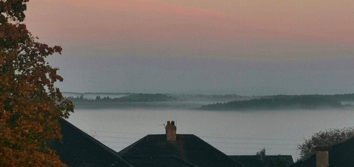 Thick mist hanging over the forest today...