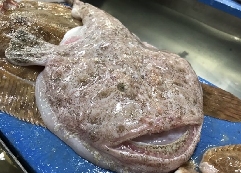 Tony Wilson tweet media