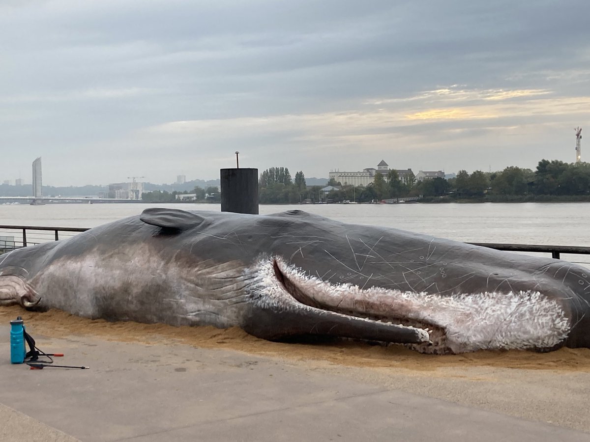 Bordeaux ce matin… après les incendies de la Gironde cet été… une nouvelle image d’un dérèglement en cours dans note département ⁦<a href="/gironde/">Gironde</a>⁩ … C’est toujours triste mais aussi impressionnant, énorme voire fabuleux… #resilience