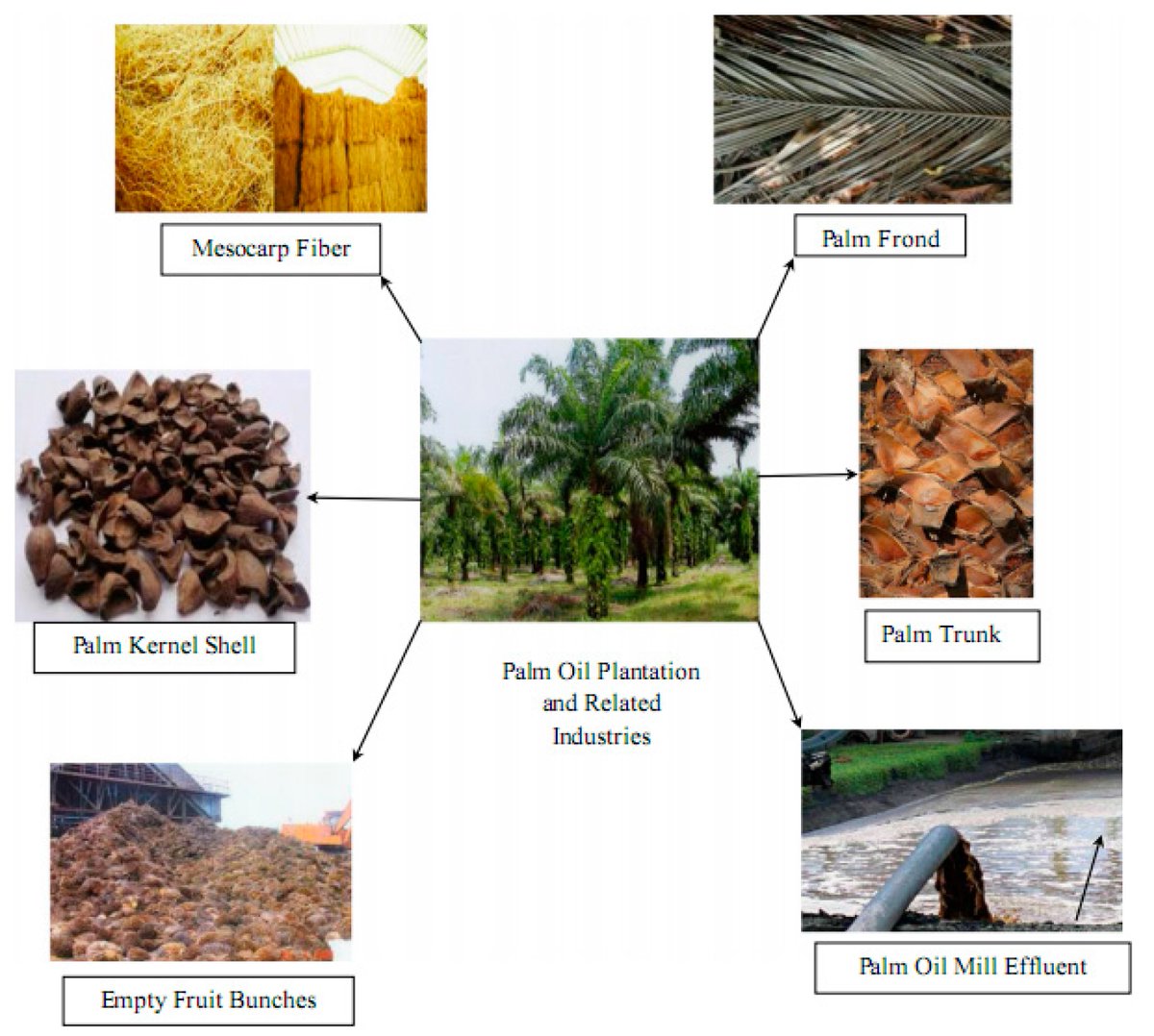Materials_mdpi's tweet image. #SectionPaperRecommendation

Palm Oil Fuel #Ash-Based Eco-Efficient #Concrete: A Critical Review of the Short-Term Properties 

👉Full Paper: 
mdpi.com/1996-1944/14/2…
👉Section: 
mdpi.com/journal/materi…

#palm oil fuel ash
#chemical composition