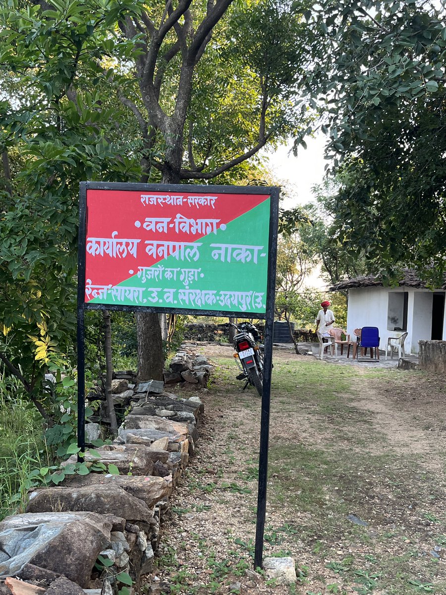 Tarun_RFS's tweet photo. At Jarga Block, Sayra Range, Udaipur (North) Forest Division. #Udaipur https://t.co/YzRuZ2gcEQ