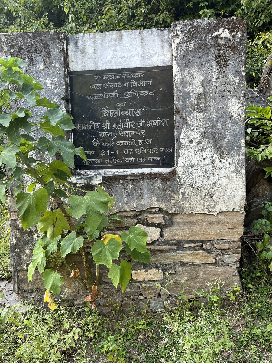 Tarun_RFS's tweet photo. At Jarga Block, Sayra Range, Udaipur (North) Forest Division. #Udaipur https://t.co/YzRuZ2gcEQ