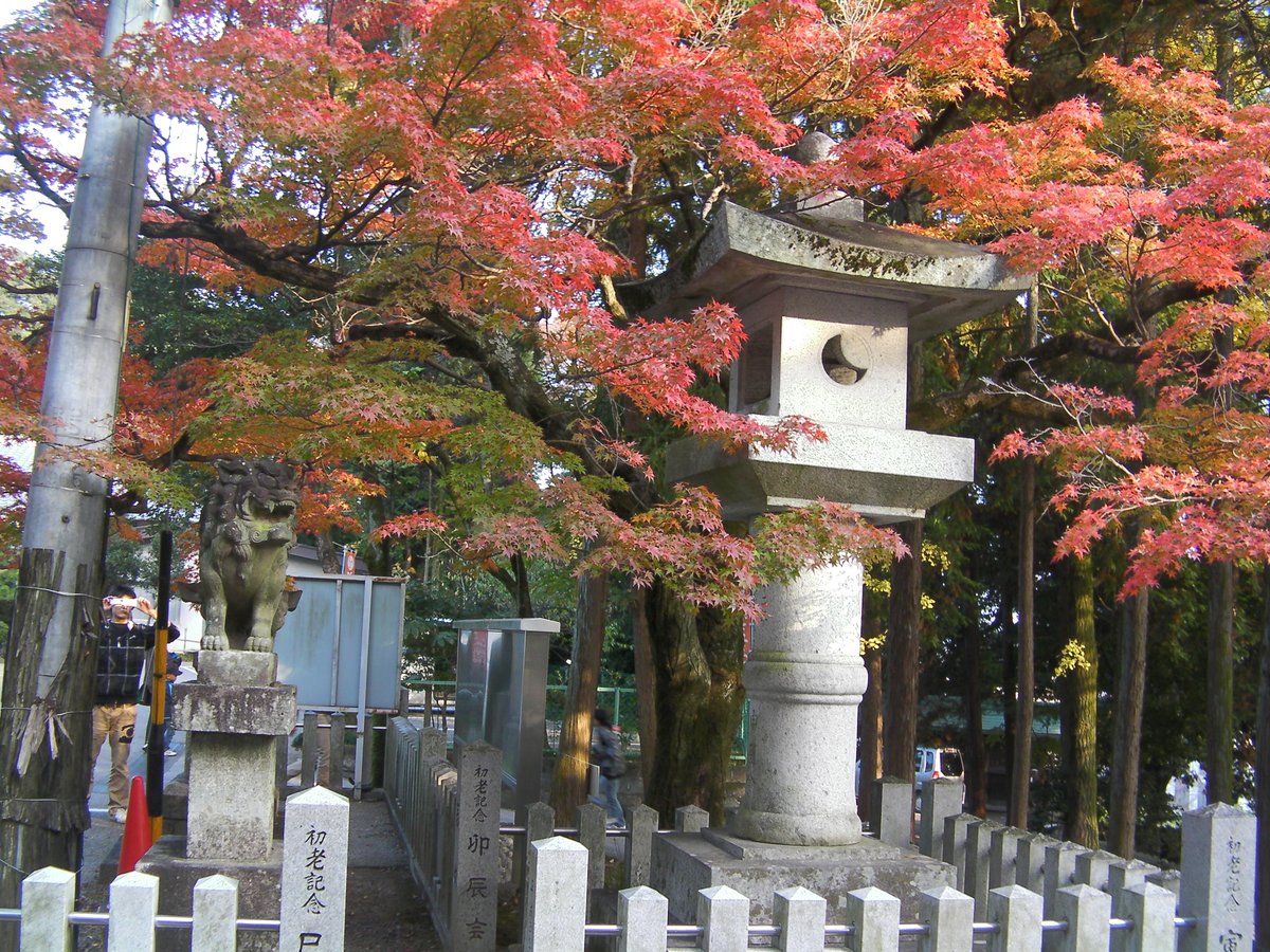 HideoMikage's tweet photo. 日本の風景 #Japanese #landscape (by me)📸
愛知・犬山 Inuyama, #Aichi🍂
#landschap #décor #scenario #landskap #escenario #landskab #landschaft #natur #manzara #látvány #sceneria #cenário #kuliss #xenarju
#rood #rouge #rot #kırmızı #rosso #rojo #photo #foto #fotoğraf #Fotografie https://t.co/wLWpzeYoCj
