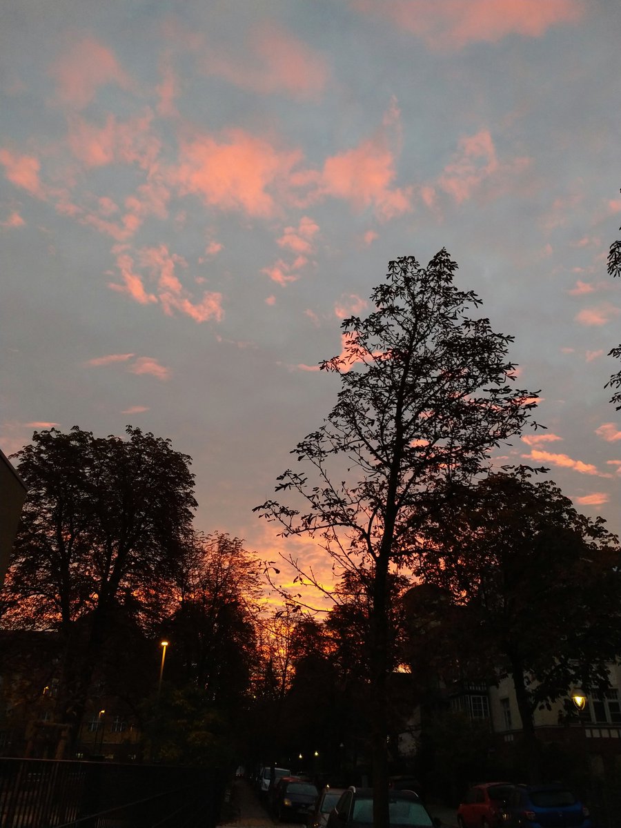 If you too are a fan of slow, thoughtful, brilliant content, then you'll love this episode.
Katie, I feel uplifted after having listened to it on my way to work. It was a perfect addition to my commute - red and yellow leaves, and a burning morning sky.