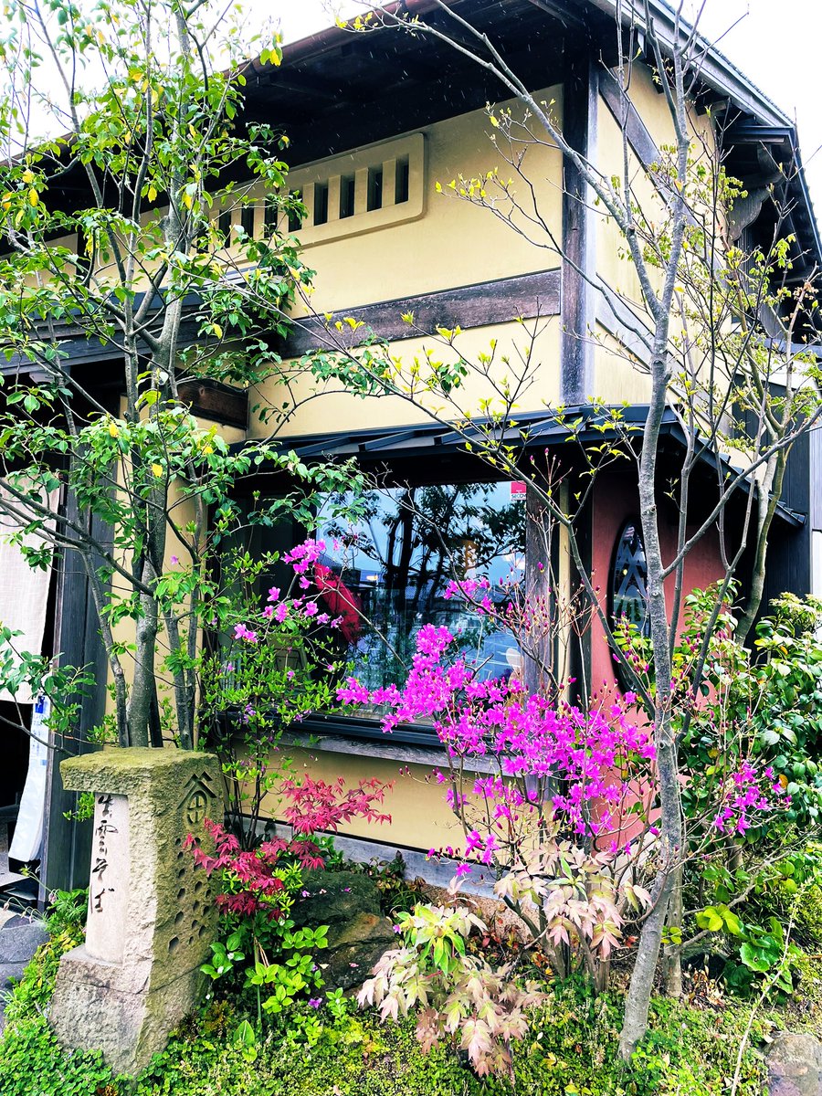 lovemiporinlove's tweet photo. 日御碕神社⛩に行く際スサノオノミコトの終焉の地🌿 神蹟 隠ヶ丘にお詣り⛩「吾が神魂はこの柏葉の止まる所に住まん」と柏葉を投げて占い🌿風に舞った柏葉が此処に止まったことから祀られる⛩
澄んだ空気🌱
深呼吸☘️
心和らぐ神聖な場所🍀𓂃𖡼𓂂𓏲𓅪𓏸
三色割子&amp;天ざる蕎麦🍤田中屋
素敵な出雲ご縁旅🌈 https://t.co/QsMELJLI3B